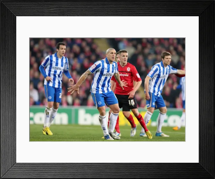 Framed Print : Brighton & Hove Albion vs. Cardiff City: 19-02-2013 - Away Game Framed Print : Brighton & Hove Albion vs. Cardiff City: 19-02-2013 - Away Game