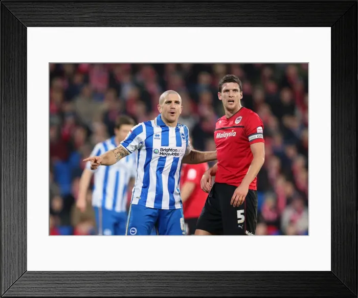 Framed Print : Brighton & Hove Albion vs. Cardiff City (Away) - Season 2012-13: A Fight at the Cardiff City Stadium (19-02-2013) Framed Print : Brighton & Hove Albion vs. Cardiff City (Away) - Season 2012-13: A Fight at the Cardiff City Stadium (19-02-2013)