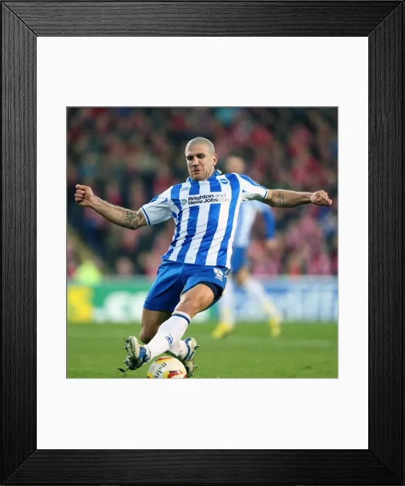 Framed Print : Brighton & Hove Albion vs. Cardiff City (Away) - 19-02-2013: Season 2012-13 Away Game Framed Print : Brighton & Hove Albion vs. Cardiff City (Away) - 19-02-2013: Season 2012-13 Away Game