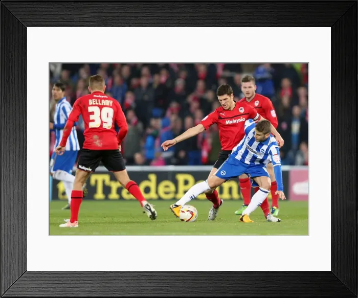 Framed Print : Brighton & Hove Albion vs. Cardiff City (Away): 19-02-2013 - Season 2012-13 Framed Print : Brighton & Hove Albion vs. Cardiff City (Away): 19-02-2013 - Season 2012-13