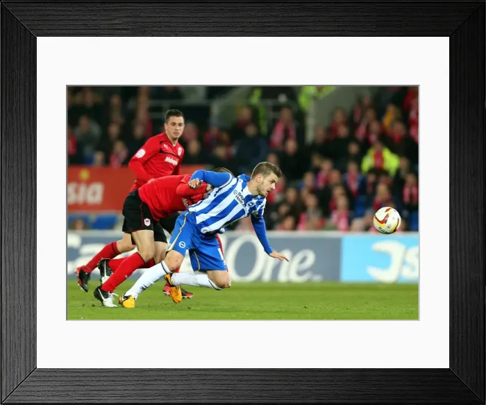 Framed Print : Brighton & Hove Albion vs. Cardiff City (Away), 19-02-2013 Framed Print : Brighton & Hove Albion vs. Cardiff City (Away), 19-02-2013