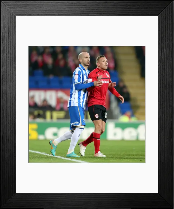 Framed Print : Brighton & Hove Albion vs. Cardiff City (Away) - 19-02-2013: Season 2012-13 Away Game Highlights Framed Print : Brighton & Hove Albion vs. Cardiff City (Away) - 19-02-2013: Season 2012-13 Away Game Highlights