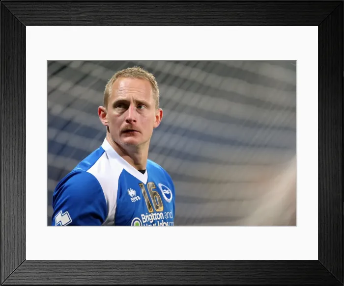 Framed Print : Brighton & Hove Albion vs. Cardiff City (Away) - 19-02-2013: Season 2012-13 Away Game Highlights