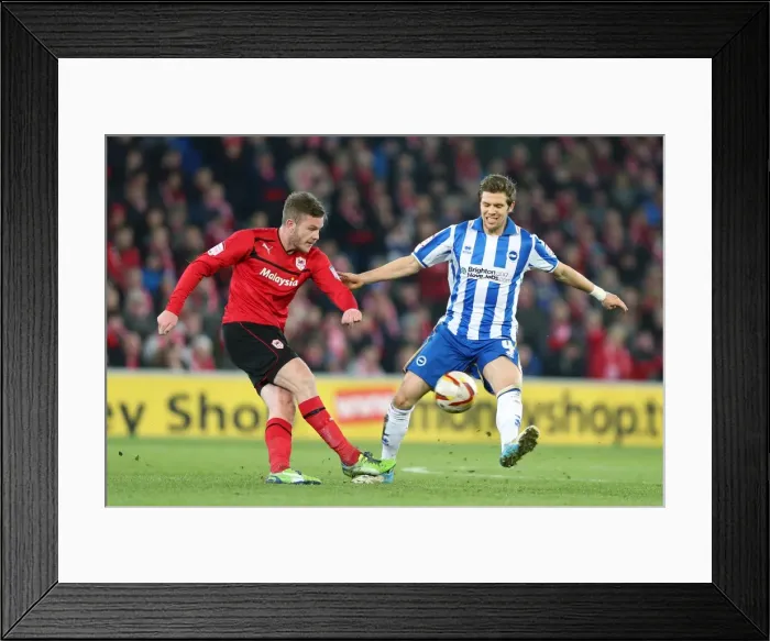 Framed Print : Exciting 2012-13 Season Encounter: Brighton & Hove Albion vs. Cardiff City (Away) Framed Print : Exciting 2012-13 Season Encounter: Brighton & Hove Albion vs. Cardiff City (Away)