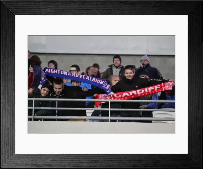 Framed Print : Brighton & Hove Albion vs. Cardiff City (Away): 19-02-2013 - Season 2012-13 Highlights Framed Print : Brighton & Hove Albion vs. Cardiff City (Away): 19-02-2013 - Season 2012-13 Highlights