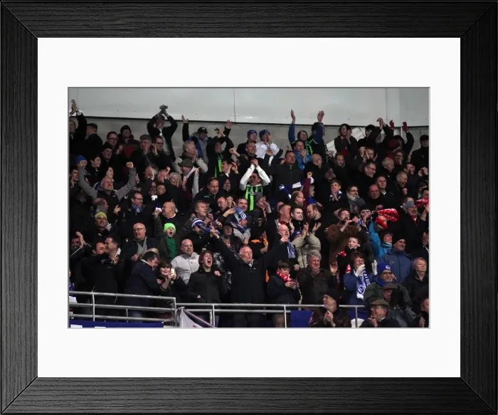 Framed Print : A Fight at Cardiff City Stadium: Brighton & Hove Albion vs. Cardiff City (2013) Framed Print : A Fight at Cardiff City Stadium: Brighton & Hove Albion vs. Cardiff City (2013)