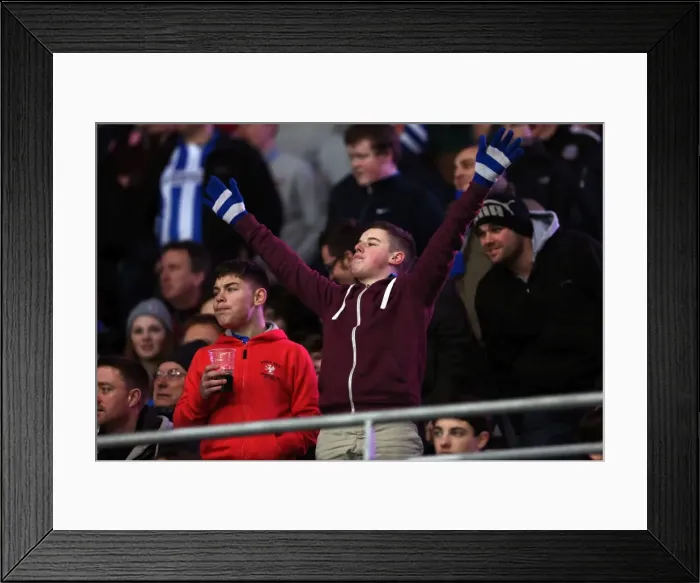 Framed Print : Brighton & Hove Albion vs. Cardiff City (Away) - 19-02-2013: Season 2012-13 Away Game Framed Print : Brighton & Hove Albion vs. Cardiff City (Away) - 19-02-2013: Season 2012-13 Away Game