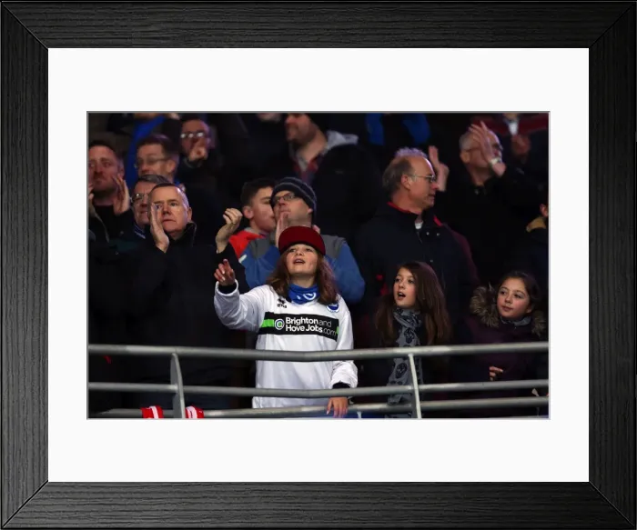 Framed Print : A Look Back: Brighton & Hove Albion vs. Cardiff City (Away) - 19-02-2013: 2012-13 Season's Away Game Framed Print : A Look Back: Brighton & Hove Albion vs. Cardiff City (Away) - 19-02-2013: 2012-13 Season's Away Game