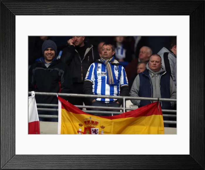 Framed Print : Brighton & Hove Albion vs. Cardiff City (Away) - 19-02-2013: Season 2012-13 Away Game Framed Print : Brighton & Hove Albion vs. Cardiff City (Away) - 19-02-2013: Season 2012-13 Away Game
