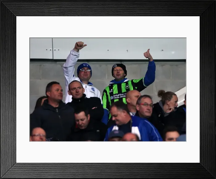Framed Print : Brighton & Hove Albion vs. Cardiff City (Away) - 19-02-2013: Season 2012-13 Away Game Framed Print : Brighton & Hove Albion vs. Cardiff City (Away) - 19-02-2013: Season 2012-13 Away Game