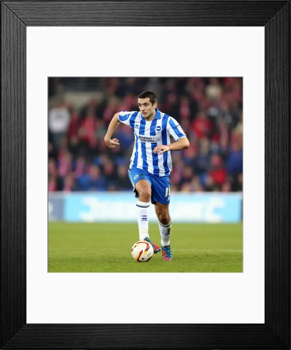 Framed Print : Brighton & Hove Albion vs. Cardiff City (Away) - 19-02-2013: Season 2012-13 Away Game Framed Print : Brighton & Hove Albion vs. Cardiff City (Away) - 19-02-2013: Season 2012-13 Away Game