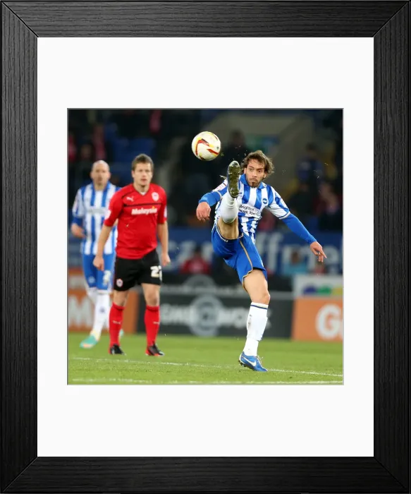 Framed Print : Brighton & Hove Albion vs. Cardiff City (Away) - 19-02-2013: Season 2012-13 Away Game Framed Print : Brighton & Hove Albion vs. Cardiff City (Away) - 19-02-2013: Season 2012-13 Away Game