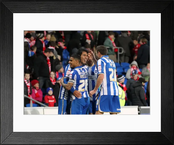 Framed Print : Brighton & Hove Albion vs. Cardiff City (Away) - 19-02-2013: Season 2012-13 Away Game Framed Print : Brighton & Hove Albion vs. Cardiff City (Away) - 19-02-2013: Season 2012-13 Away Game