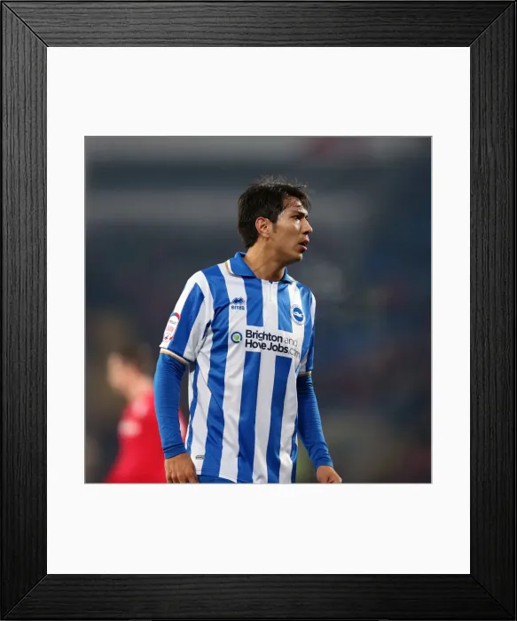 Framed Print : Leonardo Ulloa Framed Print : Leonardo Ulloa