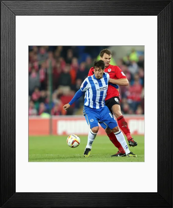 Framed Print : Brighton & Hove Albion vs. Cardiff City (Away) - Exciting 2012-13 Season Match Framed Print : Brighton & Hove Albion vs. Cardiff City (Away) - Exciting 2012-13 Season Match