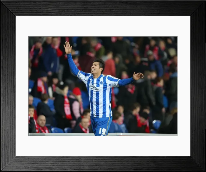 Framed Print : Brighton & Hove Albion vs. Cardiff City (Away) - 19-02-2013: Season 2012-13 Away Game Highlights Framed Print : Brighton & Hove Albion vs. Cardiff City (Away) - 19-02-2013: Season 2012-13 Away Game Highlights
