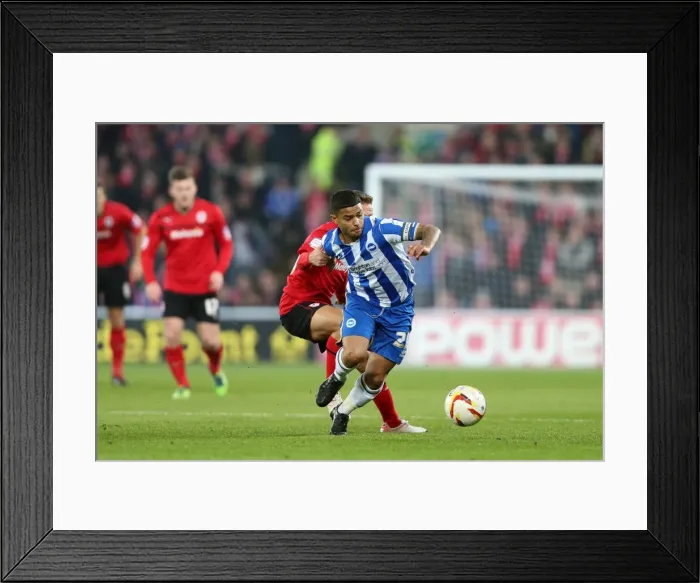 Framed Print : A Look Back: Brighton & Hove Albion vs. Cardiff City (Away) - 19-02-2013: Reliving the 2012-13 Season's Exciting Away Game Framed Print : A Look Back: Brighton & Hove Albion vs. Cardiff City (Away) - 19-02-2013: Reliving the 2012-13 Season's Exciting Away Game