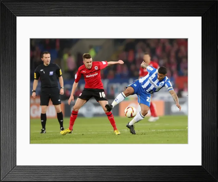 Framed Print : Brighton & Hove Albion vs. Cardiff City: 2013 Away Game, 19-02-2013 (Season 2012-13) Framed Print : Brighton & Hove Albion vs. Cardiff City: 2013 Away Game, 19-02-2013 (Season 2012-13)