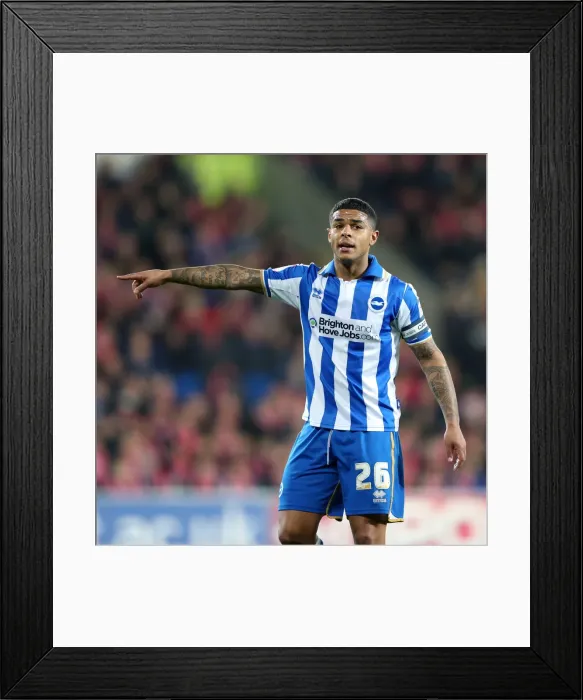 Framed Print : Focused and Determined: Liam Bridcutt in Action for Brighton and Hove Albion FC Framed Print : Focused and Determined: Liam Bridcutt in Action for Brighton and Hove Albion FC