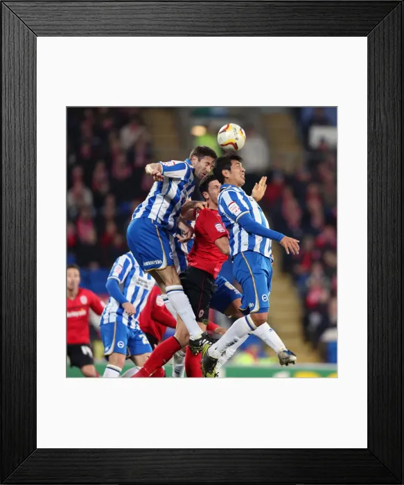 Framed Print : Brighton & Hove Albion vs. Cardiff City (Away) - 19-02-2013: Season 2012-13 Away Game Framed Print : Brighton & Hove Albion vs. Cardiff City (Away) - 19-02-2013: Season 2012-13 Away Game