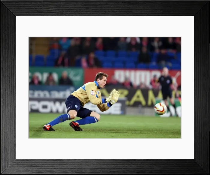 Framed Print : Brighton & Hove Albion vs. Cardiff City (Away) - A Glance at the 2012-13 Season's Game Framed Print : Brighton & Hove Albion vs. Cardiff City (Away) - A Glance at the 2012-13 Season's Game