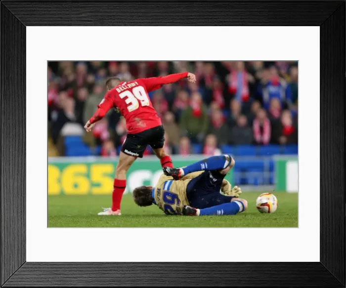 Framed Print : Brighton & Hove Albion vs. Cardiff City (Away) - 19-02-2013: Highlights from the 2012-13 Season Framed Print : Brighton & Hove Albion vs. Cardiff City (Away) - 19-02-2013: Highlights from the 2012-13 Season