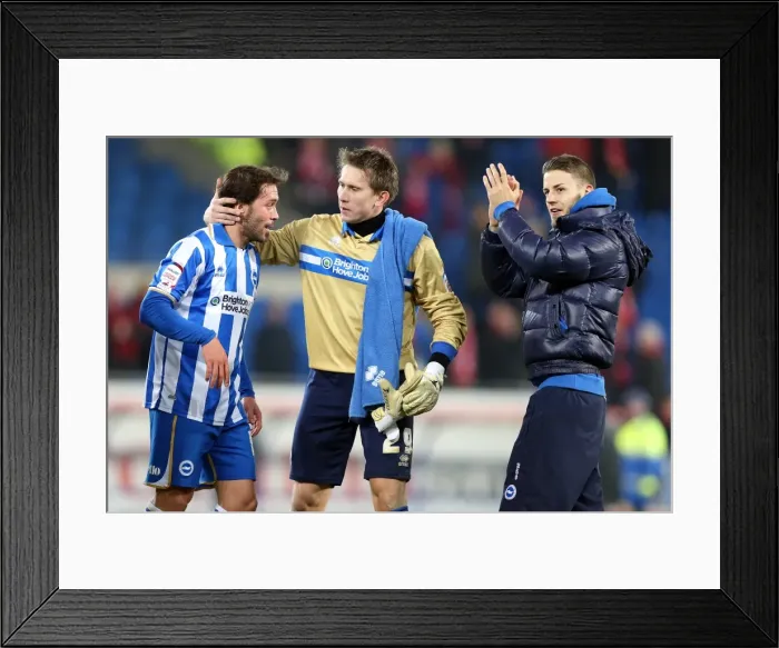 Framed Print : Brighton & Hove Albion vs. Cardiff City: 2013 Away Clash from the 2012-13 Season Framed Print : Brighton & Hove Albion vs. Cardiff City: 2013 Away Clash from the 2012-13 Season