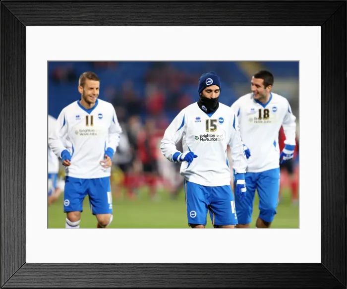 Framed Print : Brighton & Hove Albion vs. Cardiff City (Away): 2012-13 Season Highlight - February 19, 2013 Framed Print : Brighton & Hove Albion vs. Cardiff City (Away): 2012-13 Season Highlight - February 19, 2013