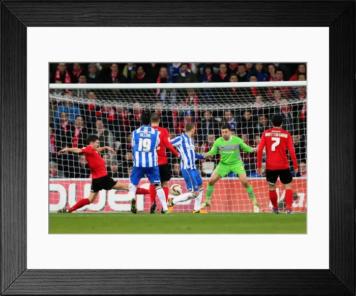 Framed Print : Andrea Orlandi Scores the Opener: Brighton & Hove Albion's Win at Cardiff City (February 19, 2013) Framed Print : Andrea Orlandi Scores the Opener: Brighton & Hove Albion's Win at Cardiff City (February 19, 2013)