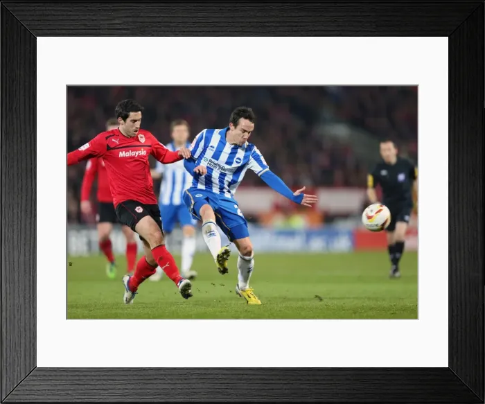 Framed Print : Brighton & Hove Albion's David Lopez in Action against Cardiff City, Npower Championship, February 19, 2013 Framed Print : Brighton & Hove Albion's David Lopez in Action against Cardiff City, Npower Championship, February 19, 2013