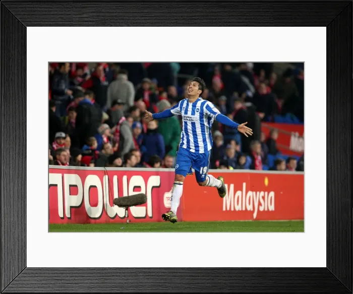 Framed Print : Brighton & Hove Albion's Leonardo Ulloa Scores Late Goal to Secure 2-0 Victory Over Cardiff City (February 19, 2013) Framed Print : Brighton & Hove Albion's Leonardo Ulloa Scores Late Goal to Secure 2-0 Victory Over Cardiff City (February 19, 2013)