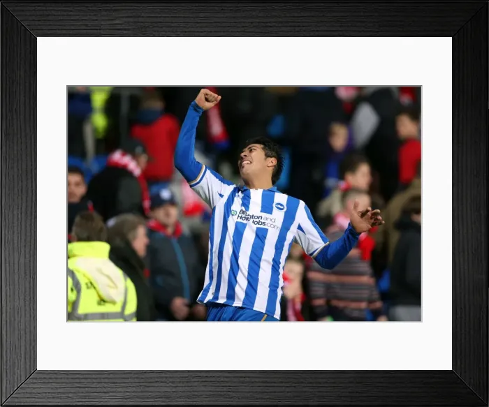 Framed Print : Leonardo Ulloa's Late Goal Secures 2-0 Victory for Brighton & Hove Albion over Cardiff City (February 19, 2013) Framed Print : Leonardo Ulloa's Late Goal Secures 2-0 Victory for Brighton & Hove Albion over Cardiff City (February 19, 2013)