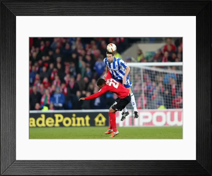 Framed Print : Matthew Upson in Action for Brighton & Hove Albion against Cardiff City, Npower Championship, February 19, 2013 Framed Print : Matthew Upson in Action for Brighton & Hove Albion against Cardiff City, Npower Championship, February 19, 2013