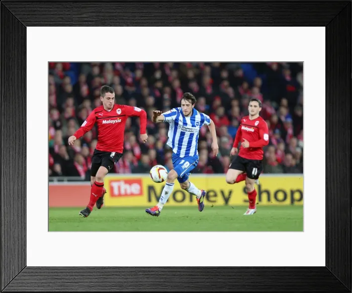 Framed Print : Brighton's Will Buckley Battles for Possession against Cardiff City, Npower Championship 2013 Framed Print : Brighton's Will Buckley Battles for Possession against Cardiff City, Npower Championship 2013
