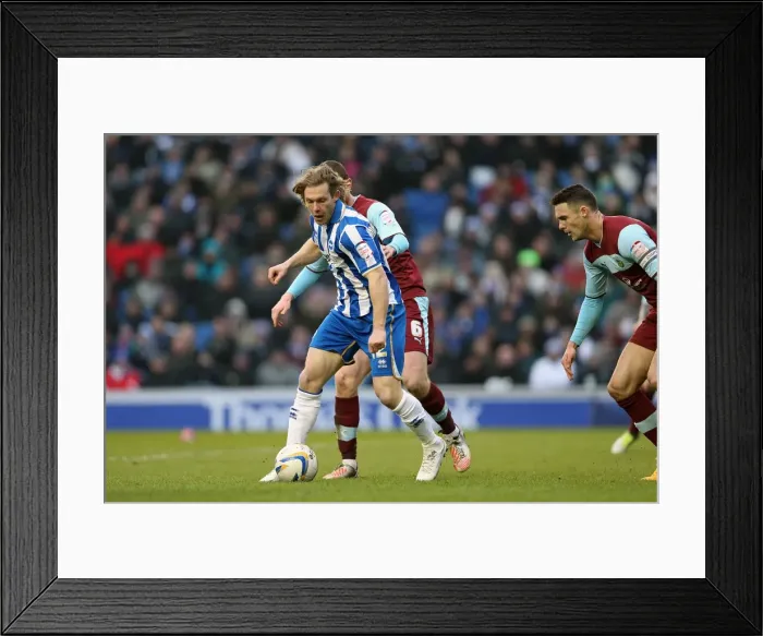 Framed Print : Brighton & Hove Albion vs Burnley: Craig Mackail-Smith in Action, Npower Championship, Amex Stadium, February 23, 2013 Framed Print : Brighton & Hove Albion vs Burnley: Craig Mackail-Smith in Action, Npower Championship, Amex Stadium, February 23, 2013