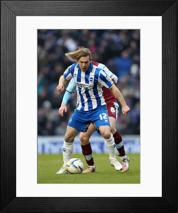 Framed Print : Craig Mackail-Smith Thrills Crowd: Brighton & Hove Albion vs. Burnley, Npower Championship, Amex Stadium, February 23, 2013 Framed Print : Craig Mackail-Smith Thrills Crowd: Brighton & Hove Albion vs. Burnley, Npower Championship, Amex Stadium, February 23, 2013