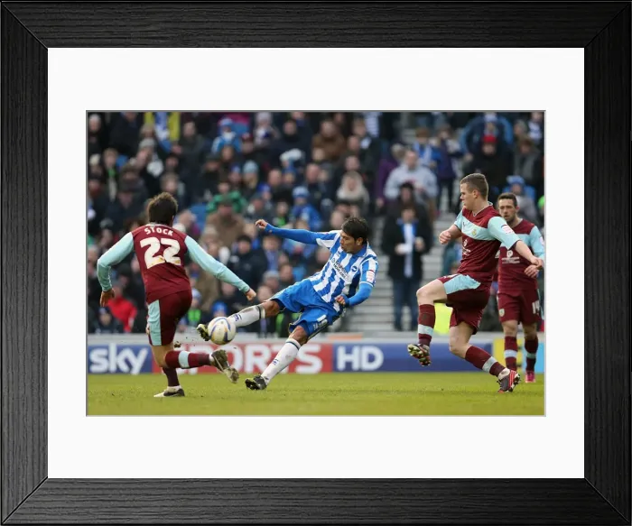 Framed Print : Leonardo Ulloa's Shot: Brighton & Hove Albion vs Burnley, Npower Championship, Amex Stadium (February 23, 2013) Framed Print : Leonardo Ulloa's Shot: Brighton & Hove Albion vs Burnley, Npower Championship, Amex Stadium (February 23, 2013)