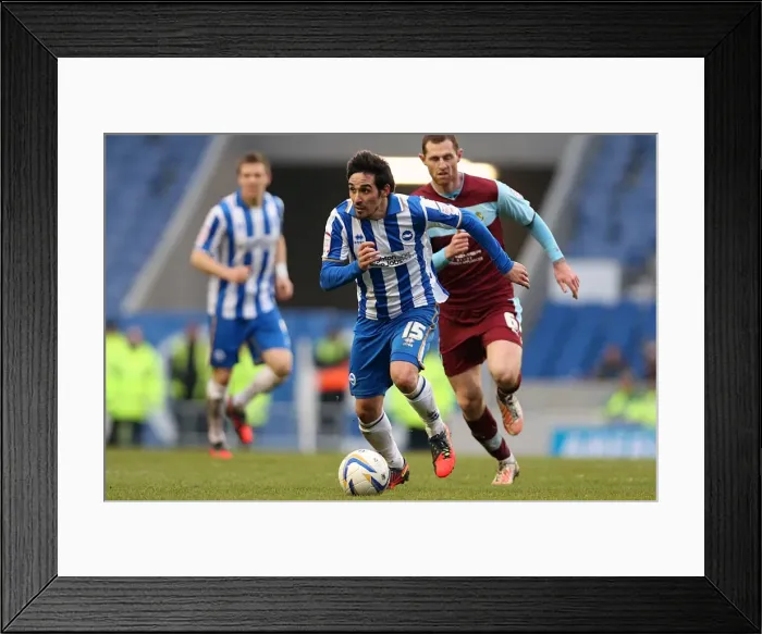Framed Print : Vicente's Victory: Man of the Match Performance in Brighton & Hove Albion vs. Burnley (February 23, 2013) Framed Print : Vicente's Victory: Man of the Match Performance in Brighton & Hove Albion vs. Burnley (February 23, 2013)