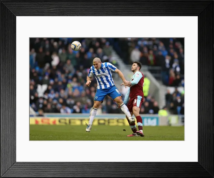 Framed Print : Brighton & Hove Albion vs. Burnley (23-02-2013) - A Look Back at the 2012-13 Home Season: Burnley Match Framed Print : Brighton & Hove Albion vs. Burnley (23-02-2013) - A Look Back at the 2012-13 Home Season: Burnley Match