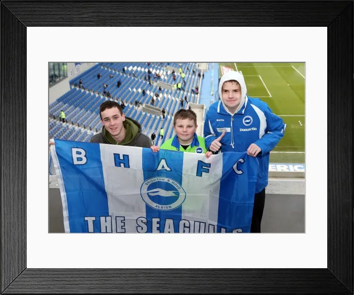 Framed Print : Electric Atmosphere: Brighton & Hove Albion Fans at the Amex Stadium (2012-2013) Framed Print : Electric Atmosphere: Brighton & Hove Albion Fans at the Amex Stadium (2012-2013)