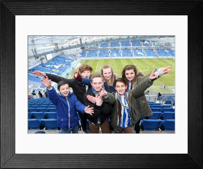 Framed Print : Brighton & Hove Albion: The Electric Amex Stadium Crowd (2012-2013) Framed Print : Brighton & Hove Albion: The Electric Amex Stadium Crowd (2012-2013)