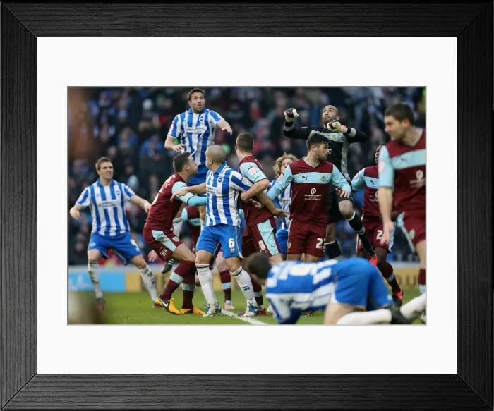 Framed Print : Brighton & Hove Albion vs. Burnley (23-02-2013) - A Look Back at the 2012-13 Home Season: Burnley Match Framed Print : Brighton & Hove Albion vs. Burnley (23-02-2013) - A Look Back at the 2012-13 Home Season: Burnley Match