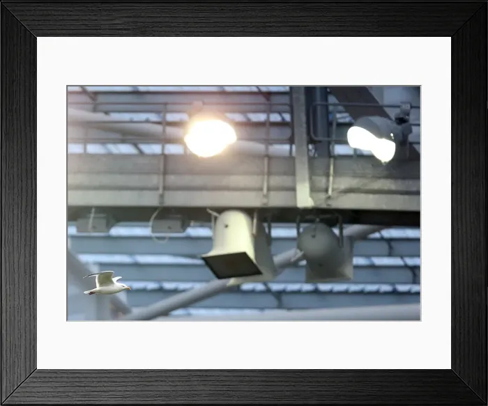 Framed Print : Brighton & Hove Albion vs. Burnley (23-02-2013): A Nostalgic Look Back at the 2012-13 Home Season - Burnley Game Framed Print : Brighton & Hove Albion vs. Burnley (23-02-2013): A Nostalgic Look Back at the 2012-13 Home Season - Burnley Game