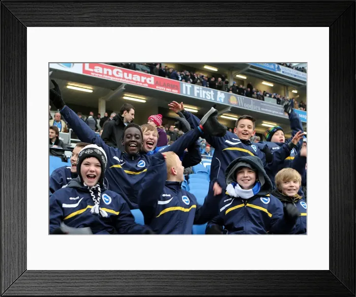 Framed Print : Brighton & Hove Albion vs. Burnley: 2012-13 Home Game Framed Print : Brighton & Hove Albion vs. Burnley: 2012-13 Home Game