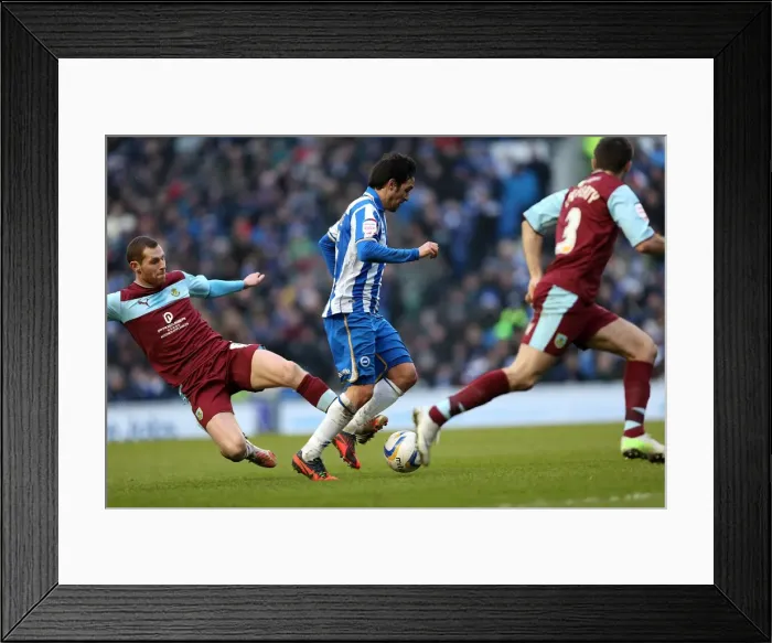 Framed Print : Brighton & Hove Albion vs. Burnley (23-02-2013): A Nostalgic Look Back at the 2012-13 Home Season - Burnley Game Framed Print : Brighton & Hove Albion vs. Burnley (23-02-2013): A Nostalgic Look Back at the 2012-13 Home Season - Burnley Game