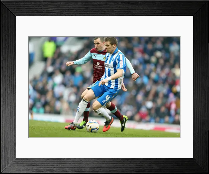 Framed Print : Dean Hammond in Action: Brighton & Hove Albion vs. Burnley, Npower Championship, Amex Stadium, February 23, 2013 Framed Print : Dean Hammond in Action: Brighton & Hove Albion vs. Burnley, Npower Championship, Amex Stadium, February 23, 2013