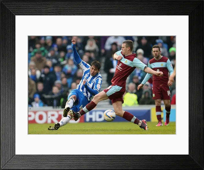 Framed Print : Leonardo Ulloa's Thrilling Shot: Brighton & Hove Albion vs. Burnley, Npower Championship, Amex Stadium (February 23, 2013) Framed Print : Leonardo Ulloa's Thrilling Shot: Brighton & Hove Albion vs. Burnley, Npower Championship, Amex Stadium (February 23, 2013)