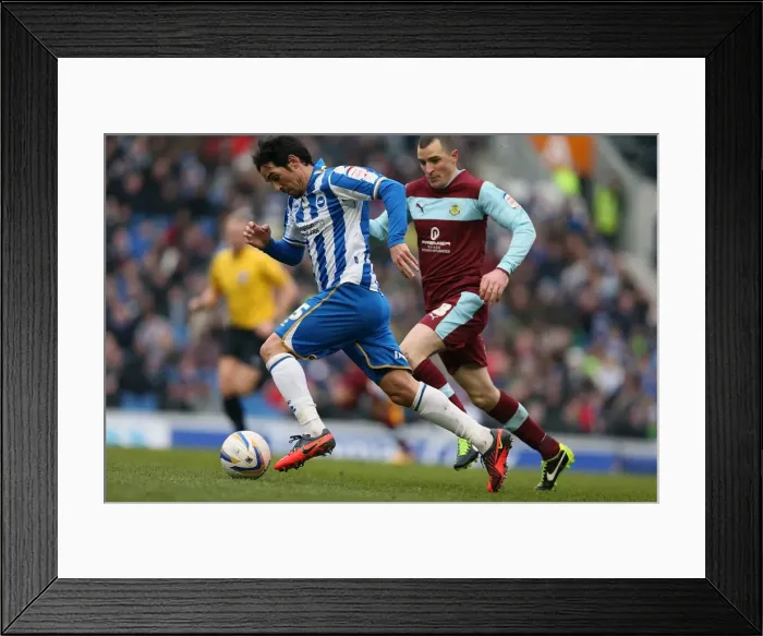 Framed Print : Vicente's Triumph: Man of the Match Performance in Brighton & Hove Albion vs. Burnley (February 23, 2013) Framed Print : Vicente's Triumph: Man of the Match Performance in Brighton & Hove Albion vs. Burnley (February 23, 2013)