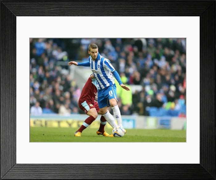 Framed Print : Andrea Orlandi's Thrilling Performance: Brighton & Hove Albion vs Burnley, Npower Championship, Amex Stadium (February 23, 2013) Framed Print : Andrea Orlandi's Thrilling Performance: Brighton & Hove Albion vs Burnley, Npower Championship, Amex Stadium (February 23, 2013)