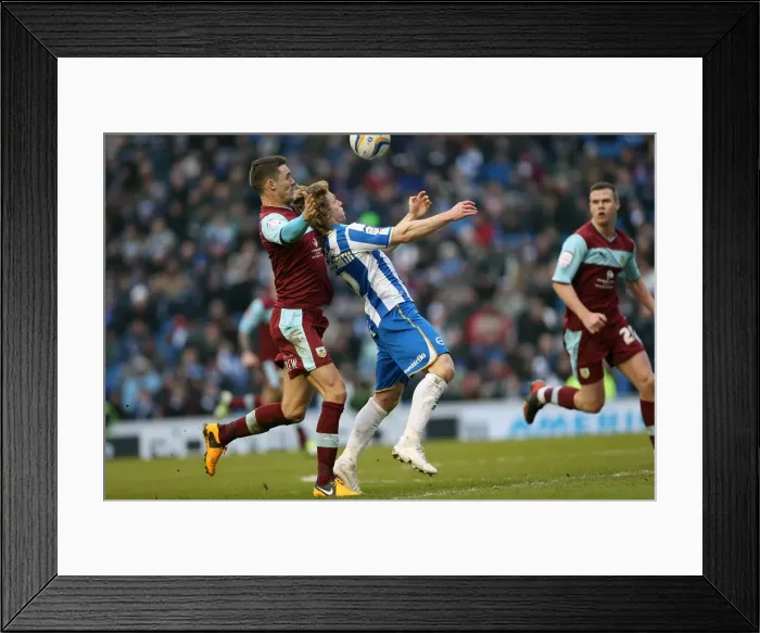 Framed Print : Craig Mackail-Smith Thrills in Brighton & Hove Albion vs. Burnley, Npower Championship, Amex Stadium (February 23, 2013) Framed Print : Craig Mackail-Smith Thrills in Brighton & Hove Albion vs. Burnley, Npower Championship, Amex Stadium (February 23, 2013)
